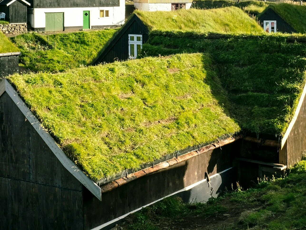 Dachbegrünung